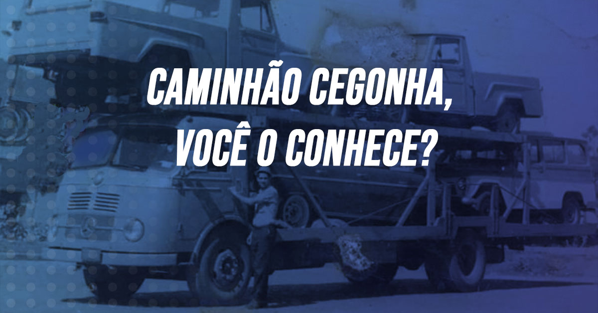 aminhao cegonha voce o conhece