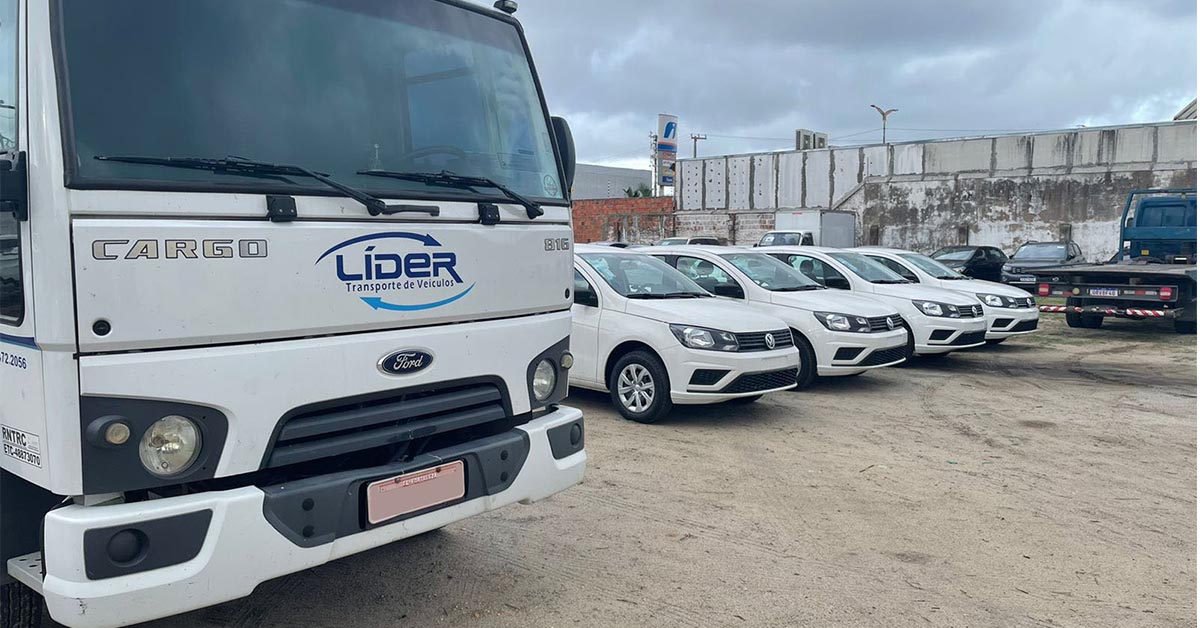 transporte de carro para sao paulo